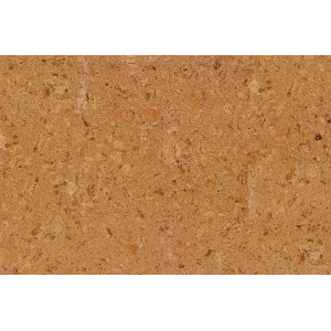 Коркова підлога Wicanders Cork Essence Originals Shell O824003